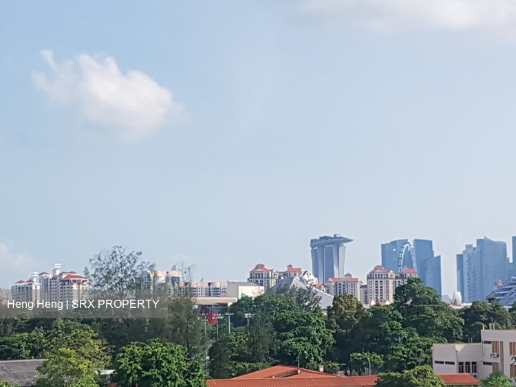 Cosmo thumbnail photo